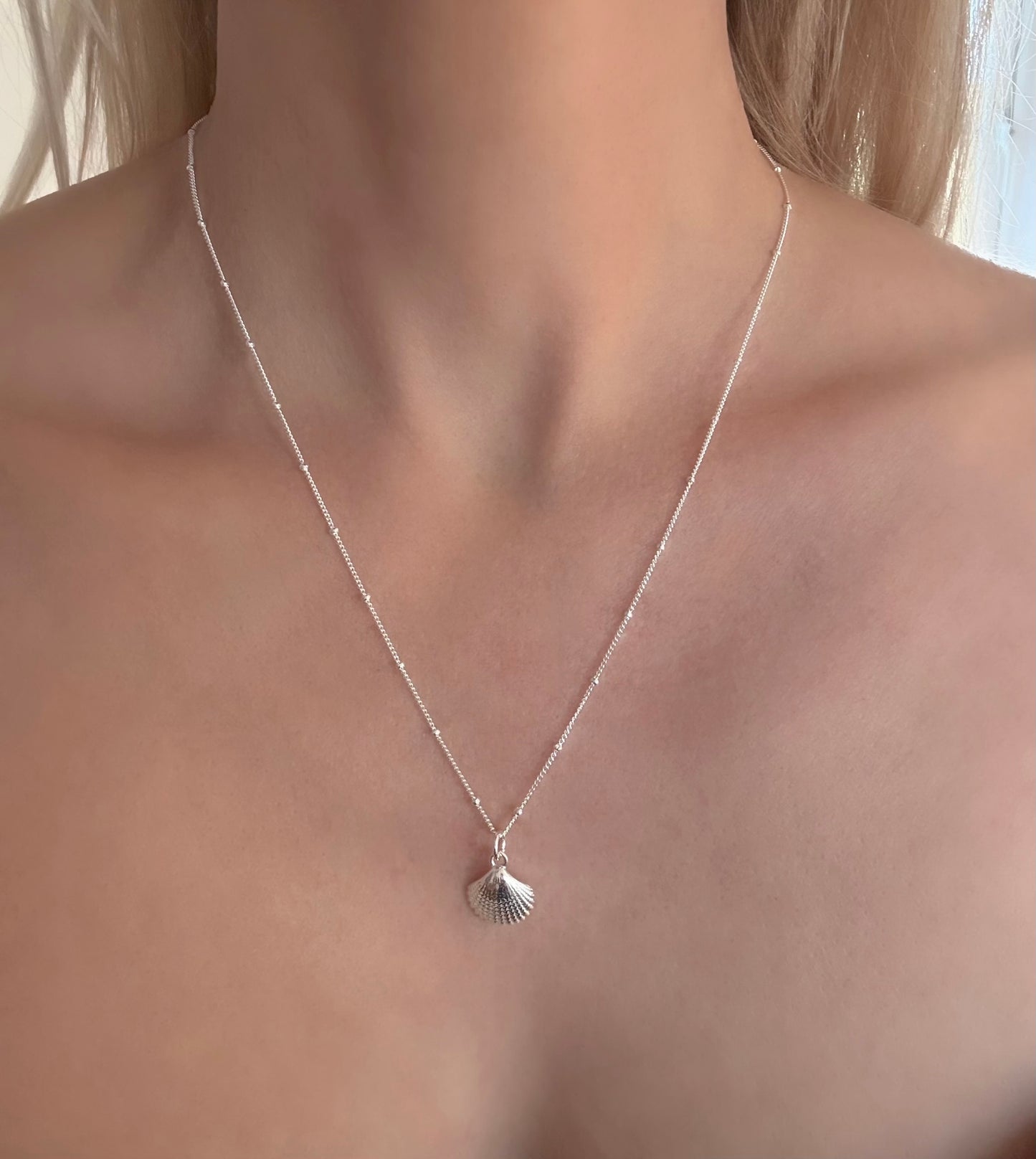 Silver Shell Pendant Necklace on Satellite Chain