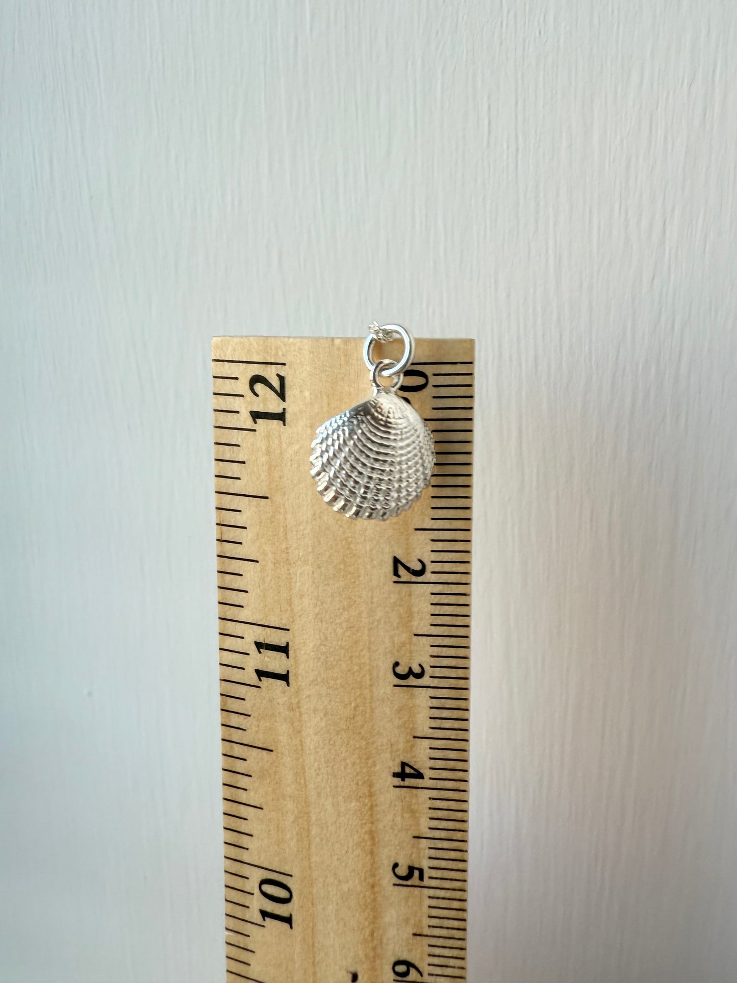 Silver Shell Pendant Necklace
